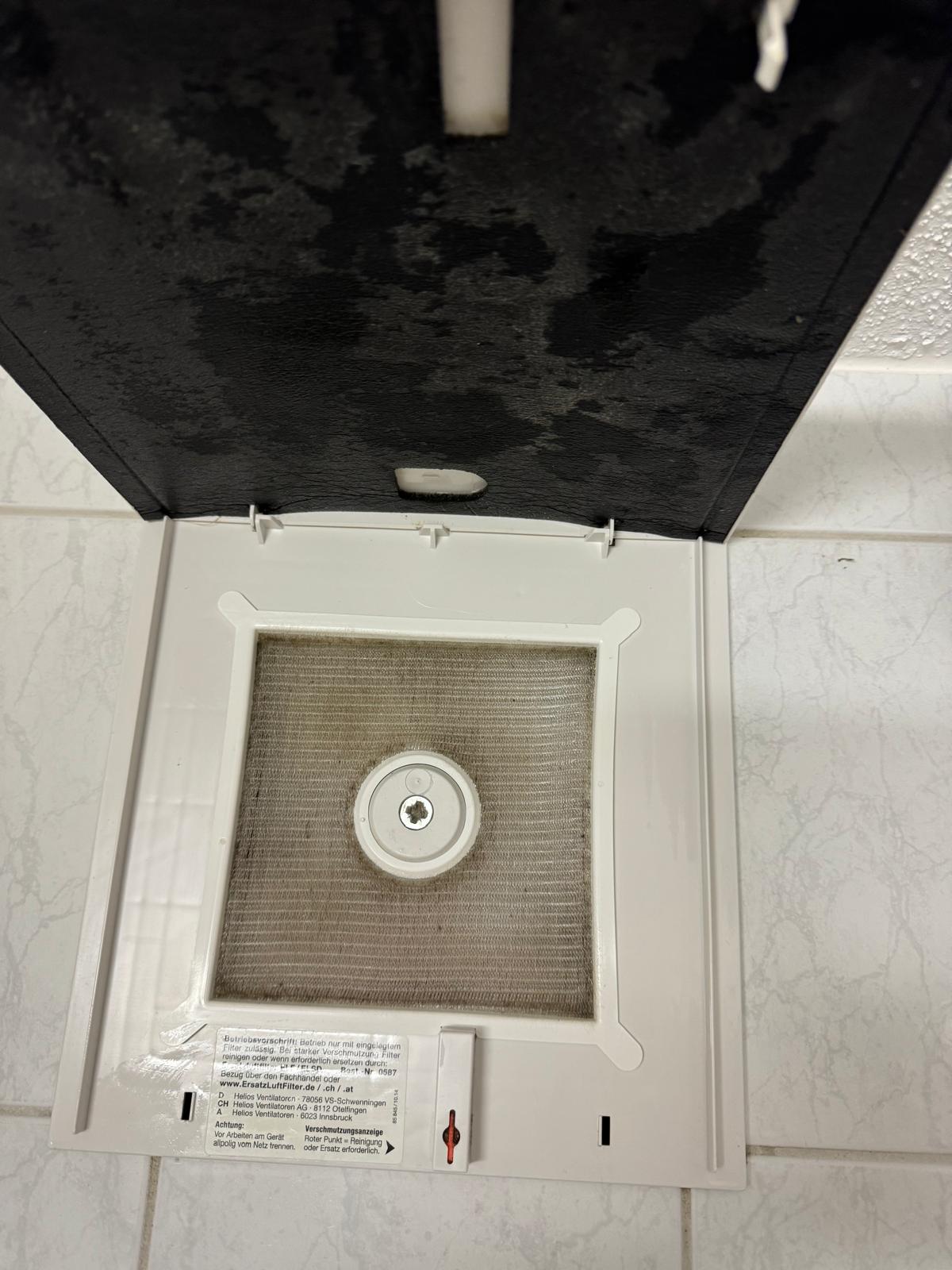 Professionelle Reinigungsarbeit September 2025